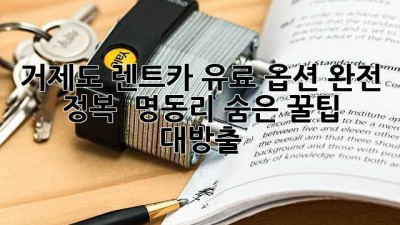 거제도 렌트카 유료 옵션 완전 정복! 🚗💨 명동리 숨은 꿀팁 대방출 ✨