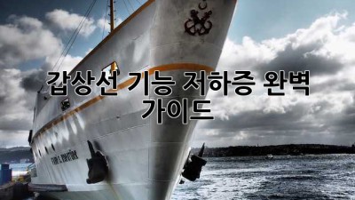 갑상선 기능 저하증 완벽 가이드